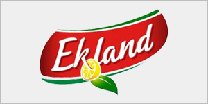 Fournisseur en gros de thé Ekoland | Distributeur UE & UK