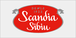 Fournisseur en gros de produits Scandia Sibiu | Distributeur UE & UK
