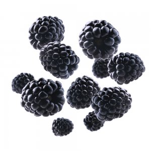 Mûres, 2,5 kg, 20 barquettes de 125g / carton, Cultivées au UK