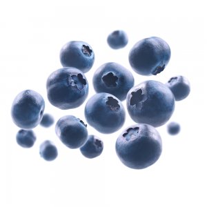 Myrtilles 1,5 kg, barquettes de 125g, Italie