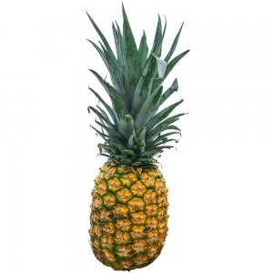 Ananas, 9 pièces / carton