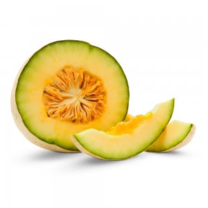 Melon Galia, Espagne, 5 kg / carton, 6 pièces