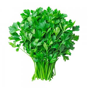 Coriandre, Israël, 100 g, 10 pièces