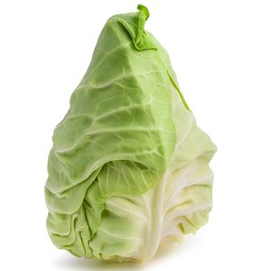 Chou Hispi, cultivé au UK, 10 pièces / carton