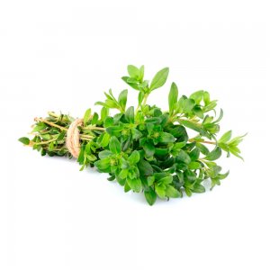 Thym Frais d'Israël | 100g x10 | Herbes en Gros