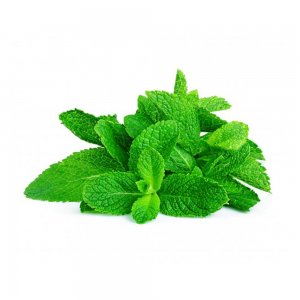Menthe Fraîche d'Israël | 100g x10 | Herbes en Gros